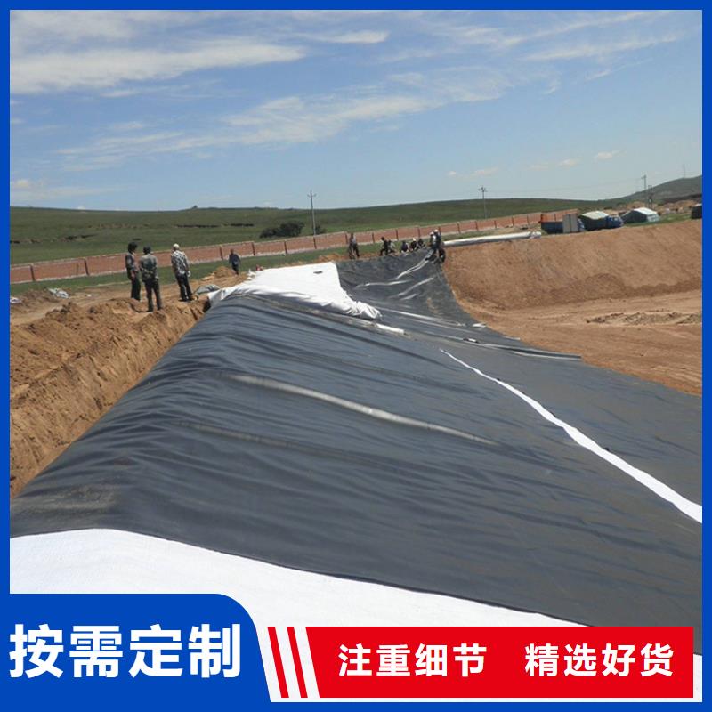 一布一膜复合土工膜