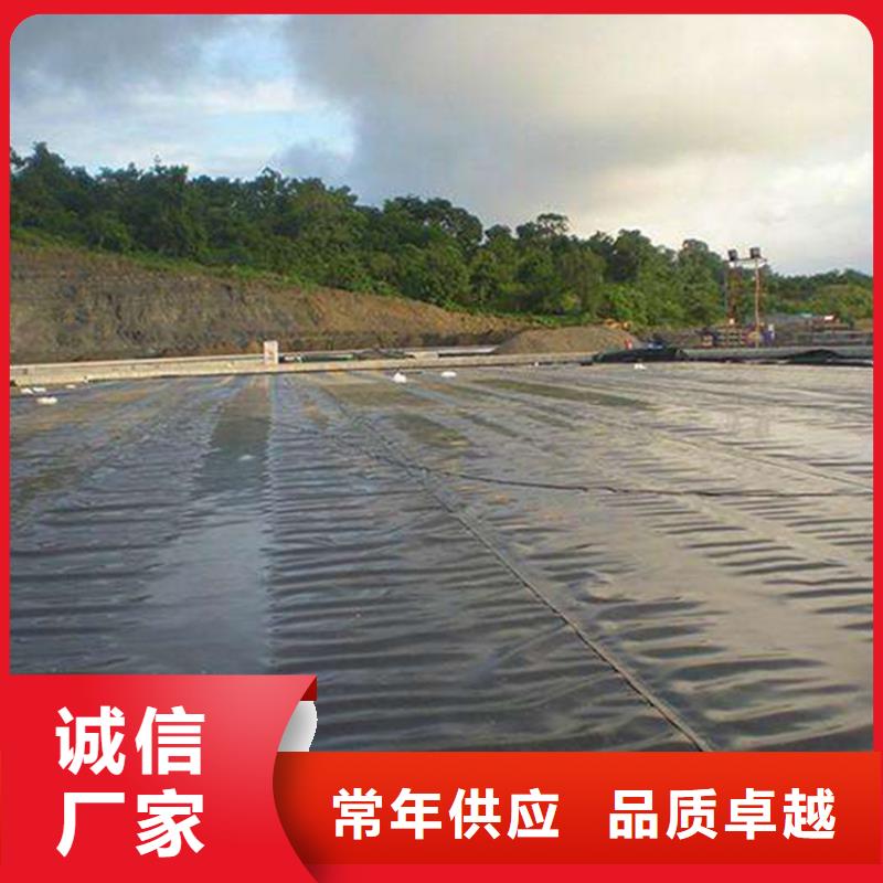 污水池HDPE防渗膜
