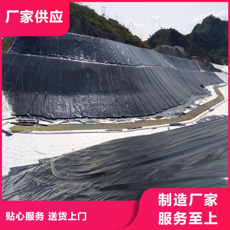 高密度聚乙烯土工膜