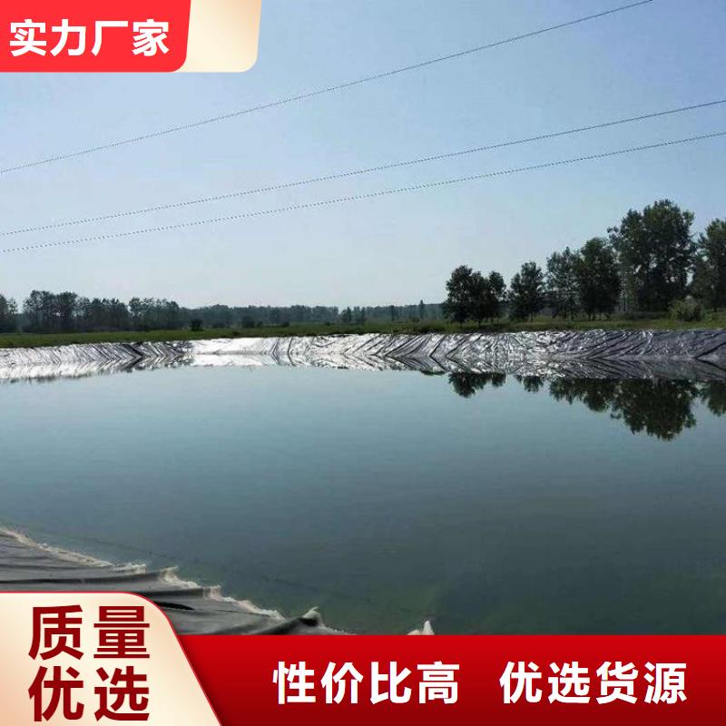 厌氧池黑膜本地代理