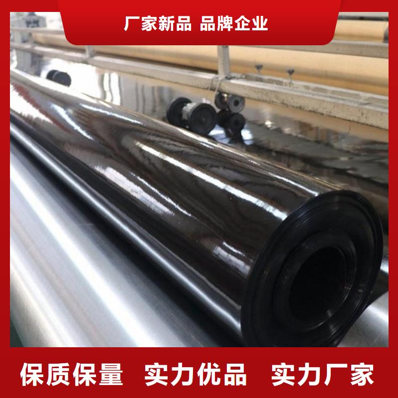 渠道-防渗土工膜市场批发