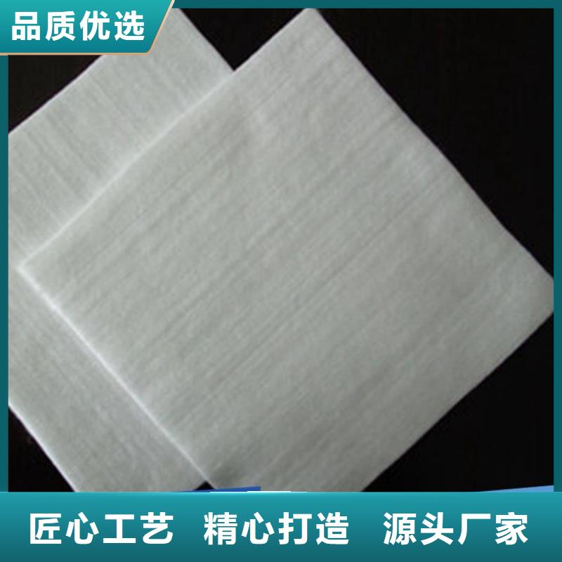 土工布_短纤针刺防水