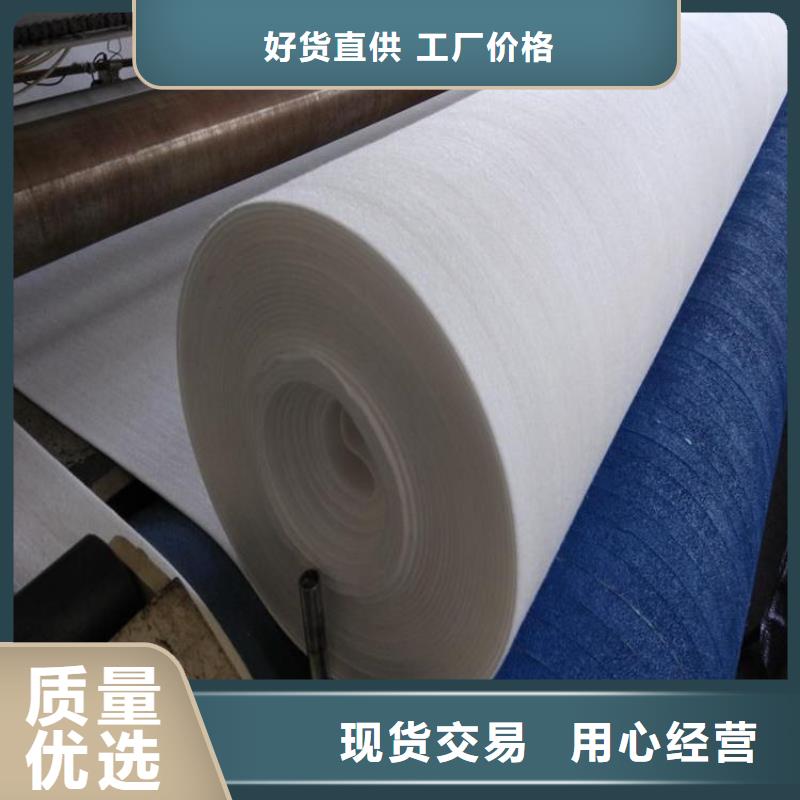 防渗土工布本地供应