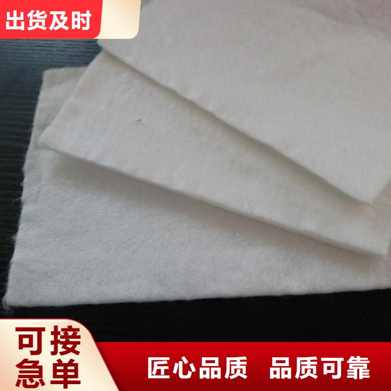 土工布双向土工格栅现货齐全售后无忧