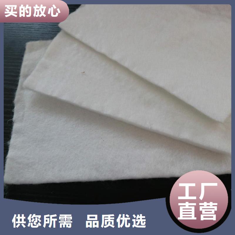 万宁市公路养护土工布
