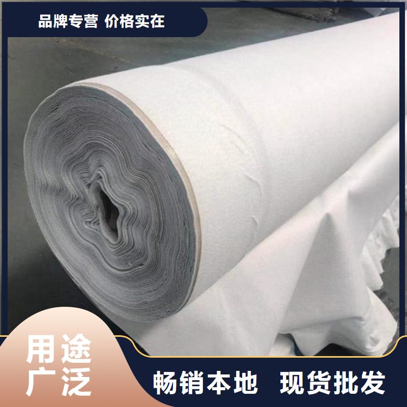 土工布_短纤针刺防水