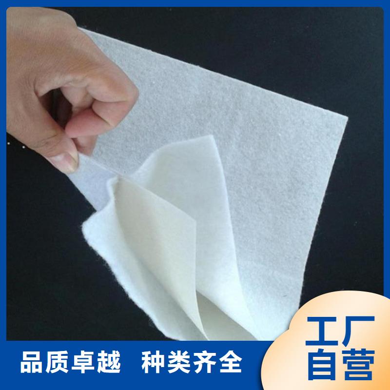土工布_短丝无纺针刺