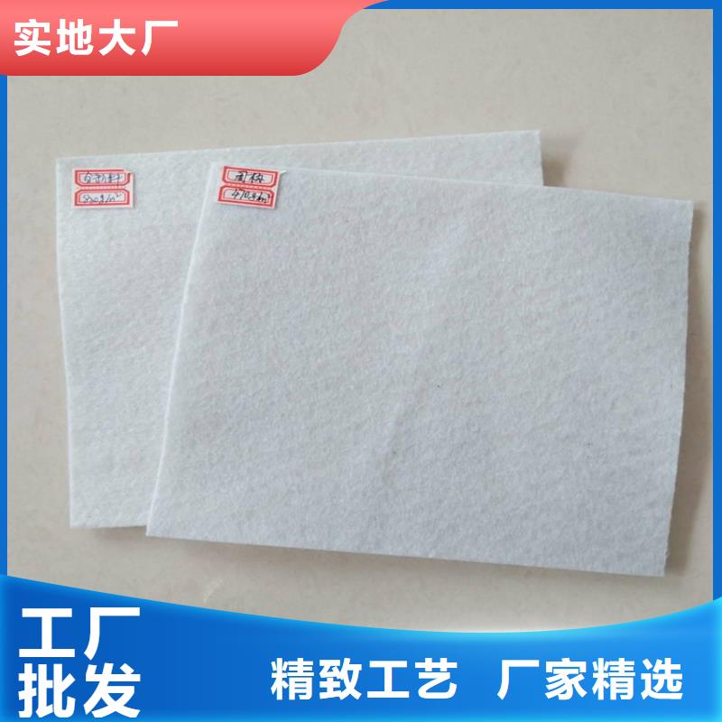 聚酯无纺土工布
