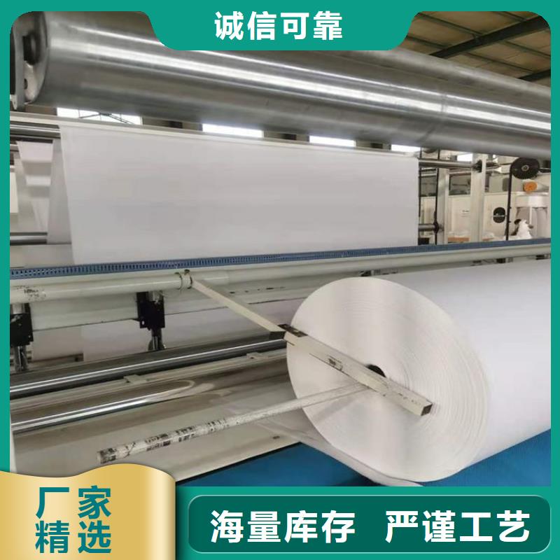 土工布_短纤针刺防水