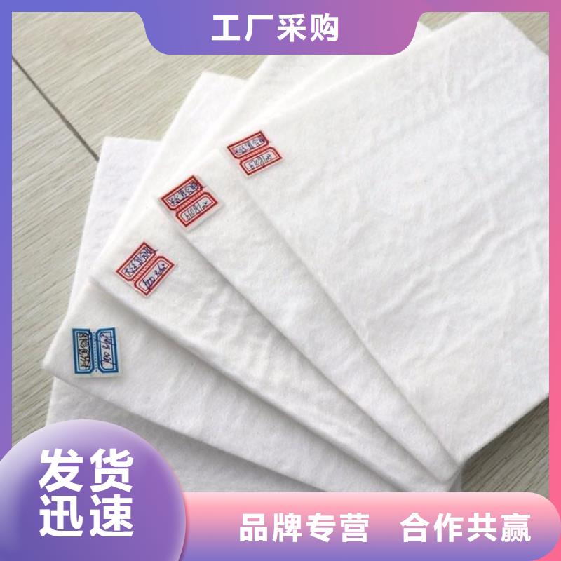 墨绿色土工布_反渗水土工布