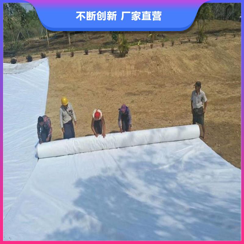 复合防渗土工布_一布一膜复合土工布
