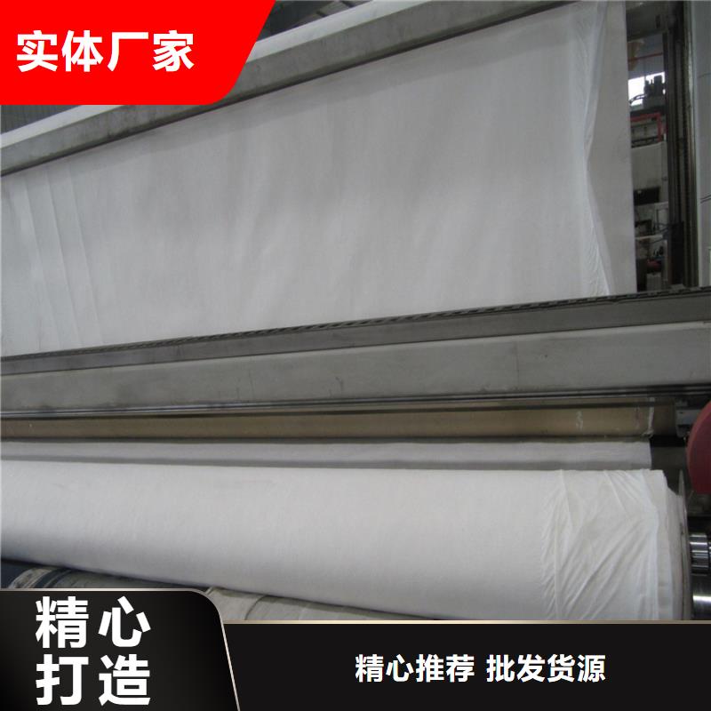 土工布玻纤土工格栅工厂直供
