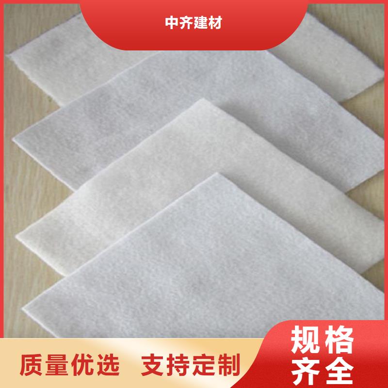 土工布玻纤土工格栅工厂直供