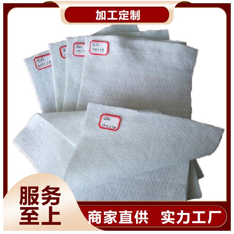 土工布双向土工格栅现货齐全售后无忧
