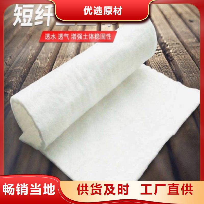 土工布玻纤土工格栅工厂直供