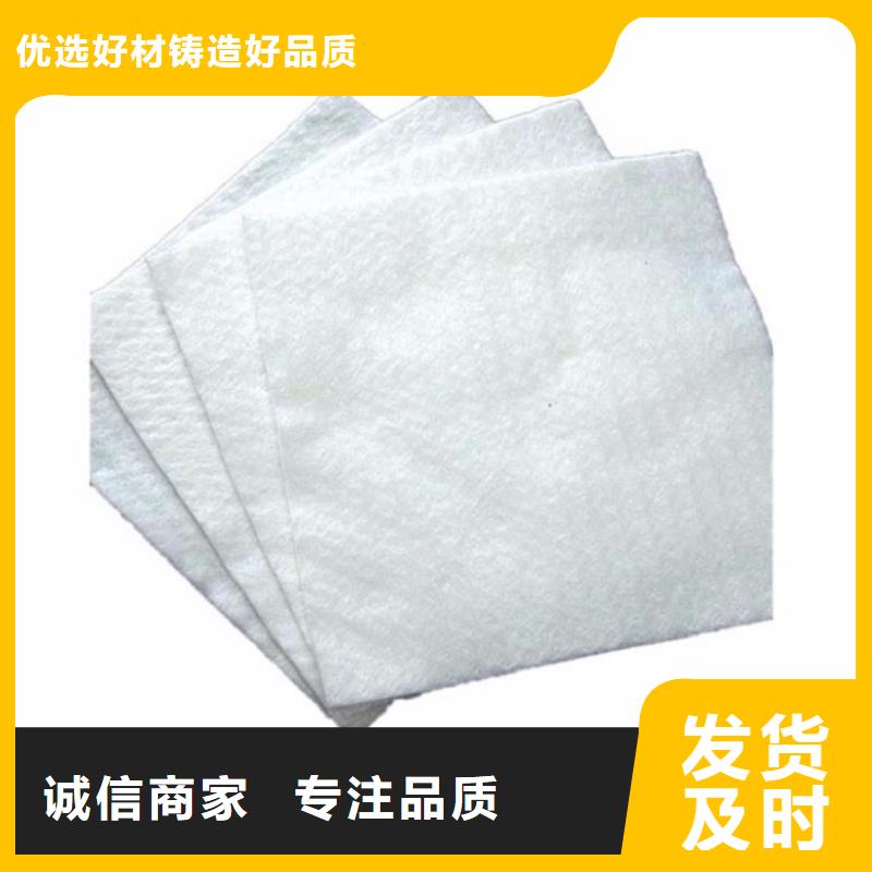 短丝编织土工布