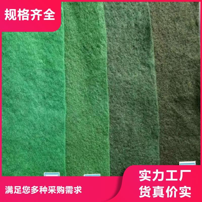 【土工布防渗膜畅销当地】