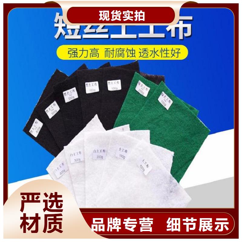 土工布玻纤土工格栅工厂直供