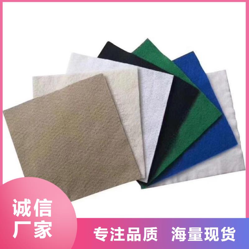 土工布HDPE土工膜源头厂家经验丰富