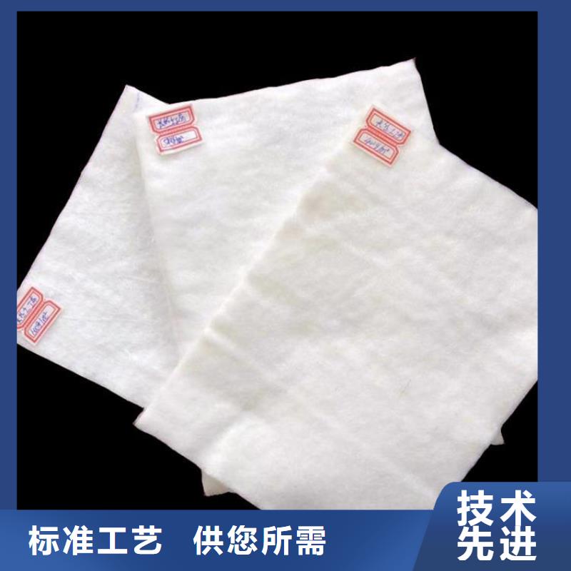 土工布玻纤土工格栅工厂直供