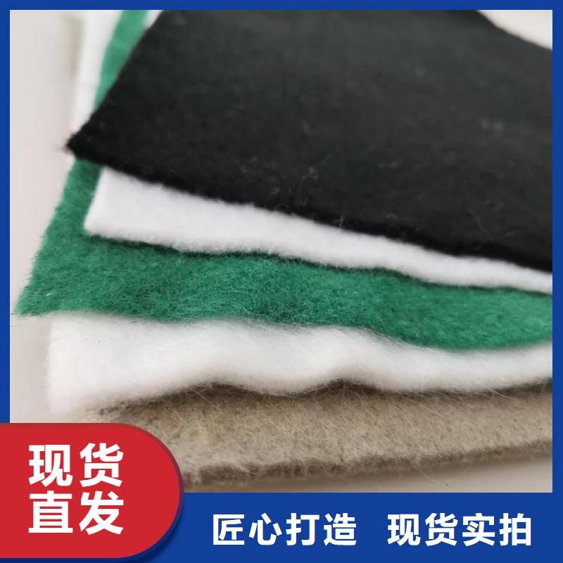 土工布_滤水长丝无纺