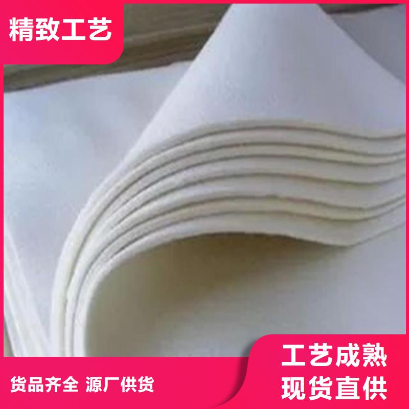 万宁市公路养护土工布