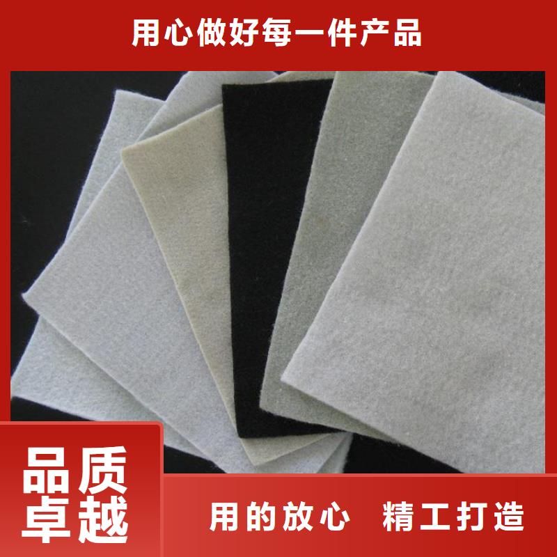 无纺针刺滤水土工布