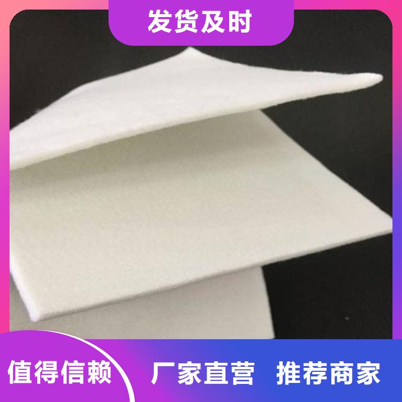 土工布_防水短纤针刺
