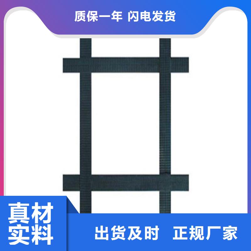 玻纤土工格栅-养殖土工格栅