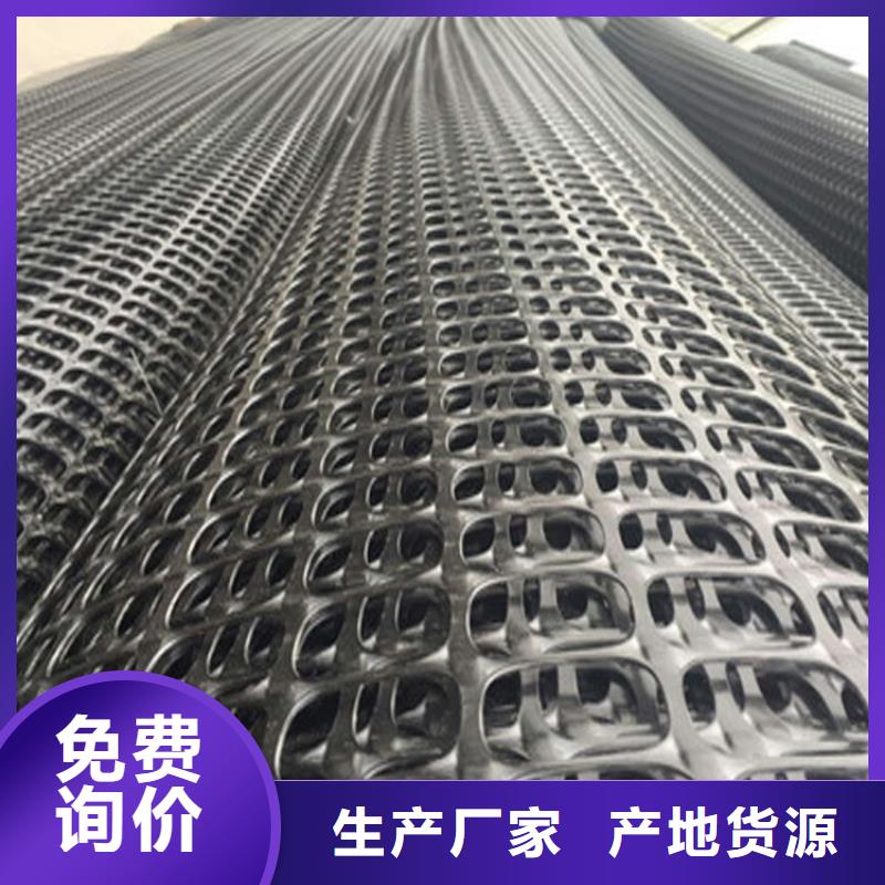 玻璃纤维土工格栅-公路土工格栅-PE土工格栅