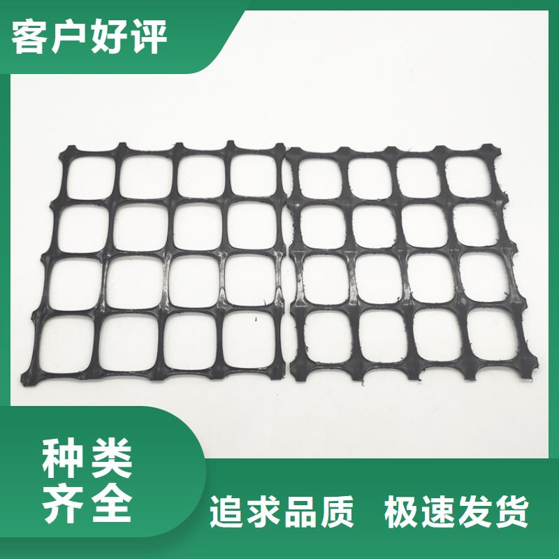 经编土工格栅-TGDG单向塑料土工格栅-路基土工格栅