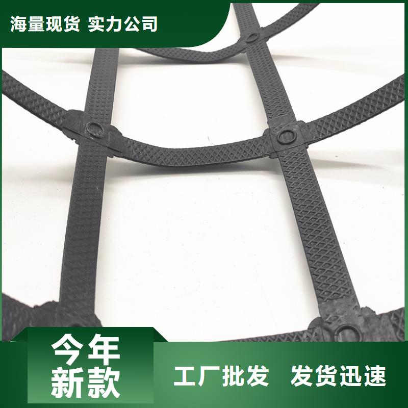 经编土工格栅-TGDG单向塑料土工格栅-路基土工格栅