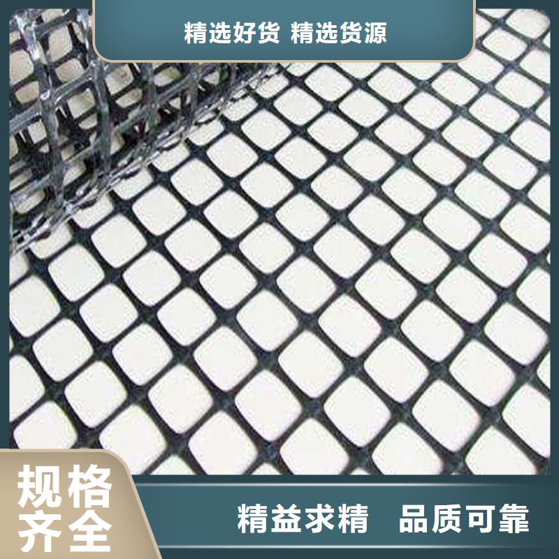 玻纤土工格栅-养殖土工格栅