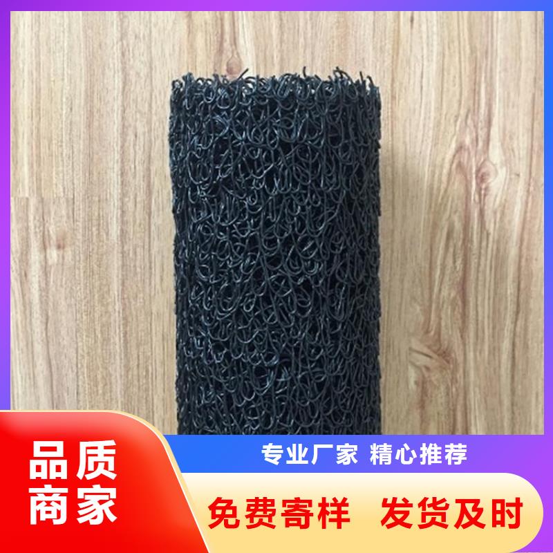 塑料盲沟-RCP渗排水盲管
