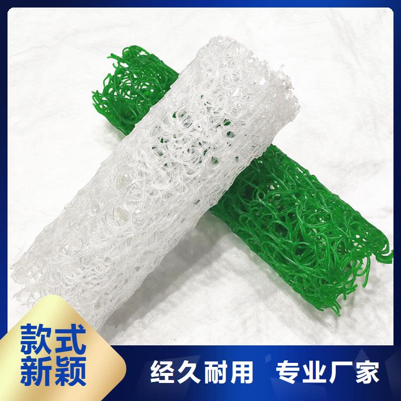 塑料盲沟-渗水透水盲管