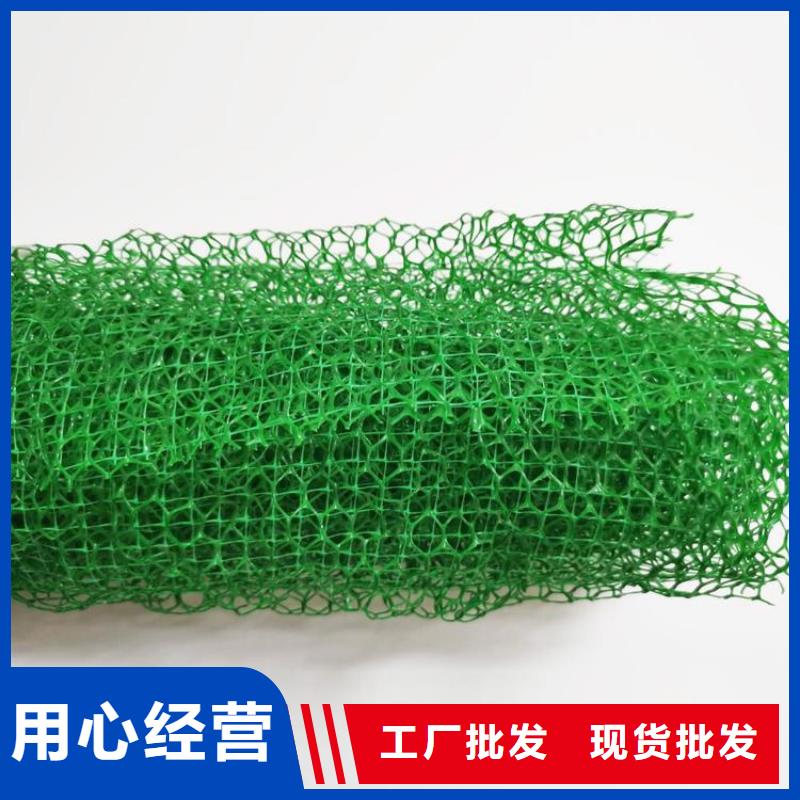 护坡加筋网垫-绿色三维植被网环保领域施工