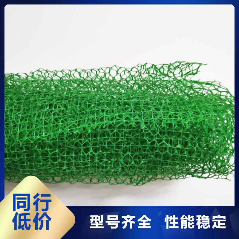 三维土工网垫代理/哪里有卖的