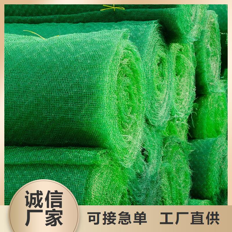 三维固土网垫-三维护坡网垫施工