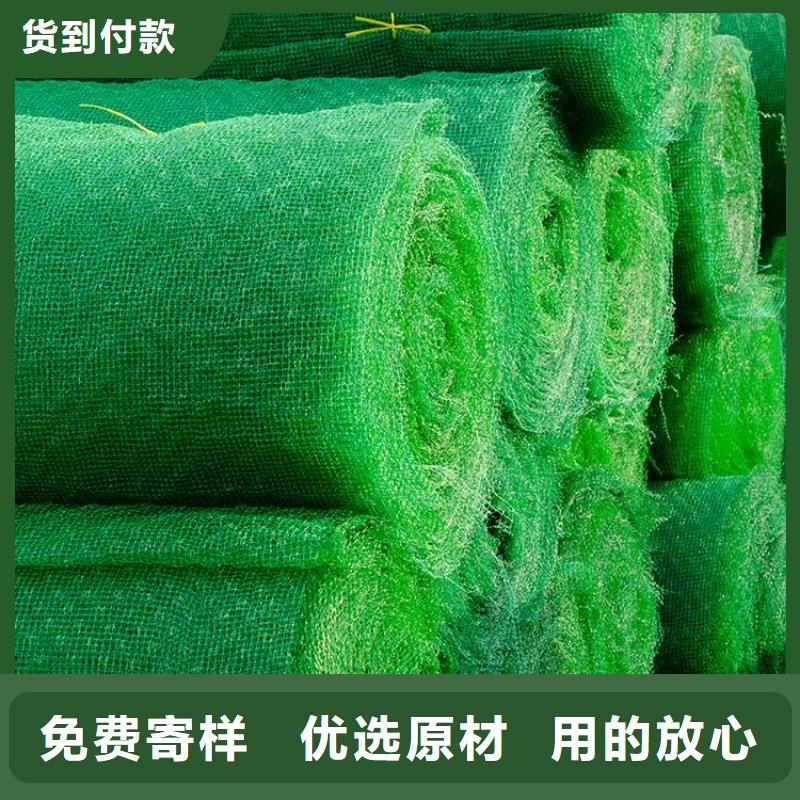 固土EM3三维护坡植被网垫
