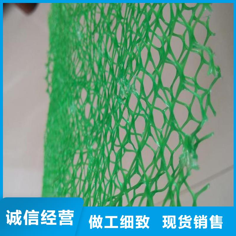 【三维植被网-无纺布产地工厂】