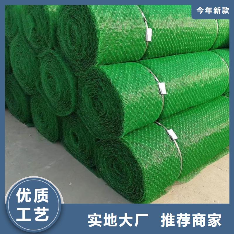 三维固土网垫-三维护坡网垫施工