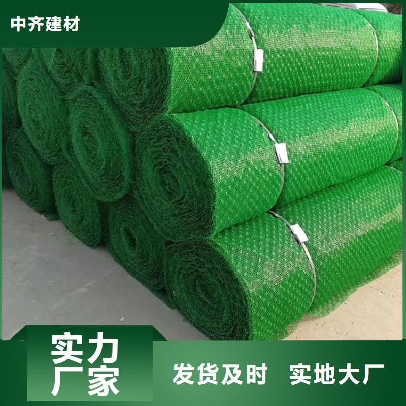 三维固土网垫#环保绿化