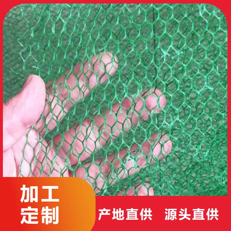 三维植被网HDPE土工膜重信誉厂家