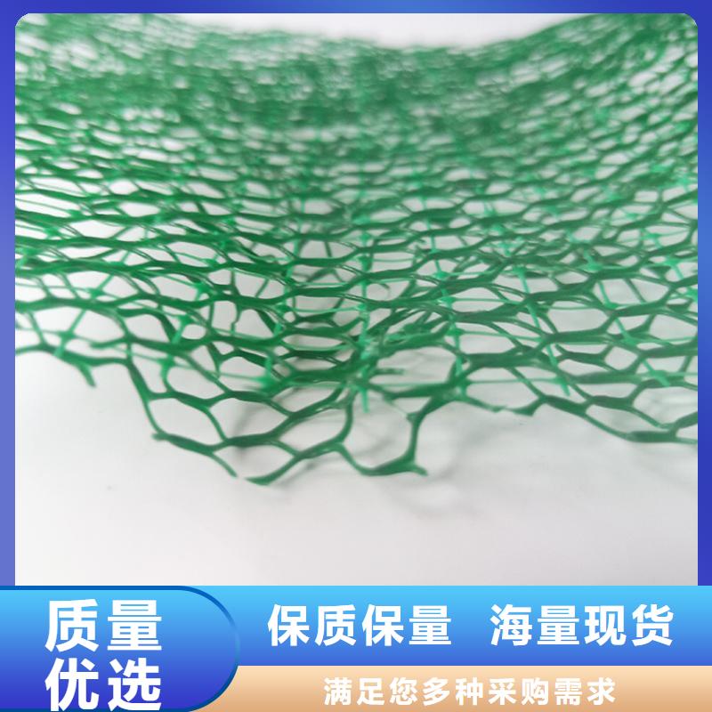 三维植被网防水板品牌大厂家
