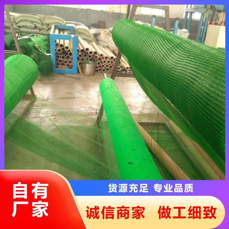 三维加筋植草网垫施工方法