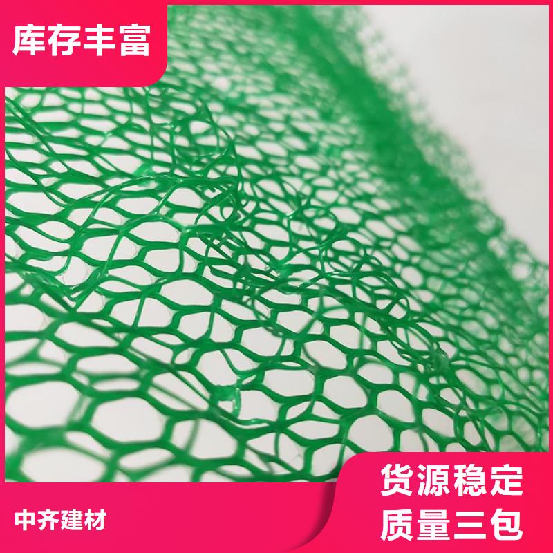 三维固土网垫规范施工
