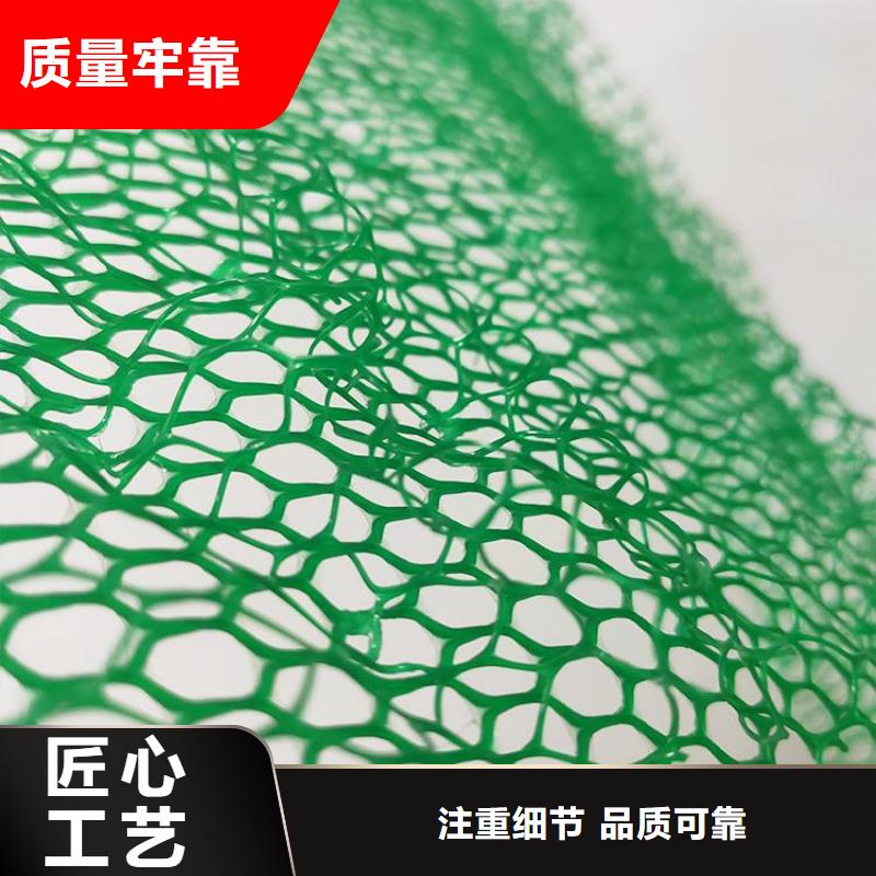三维加筋植草网垫代理/哪里有卖的