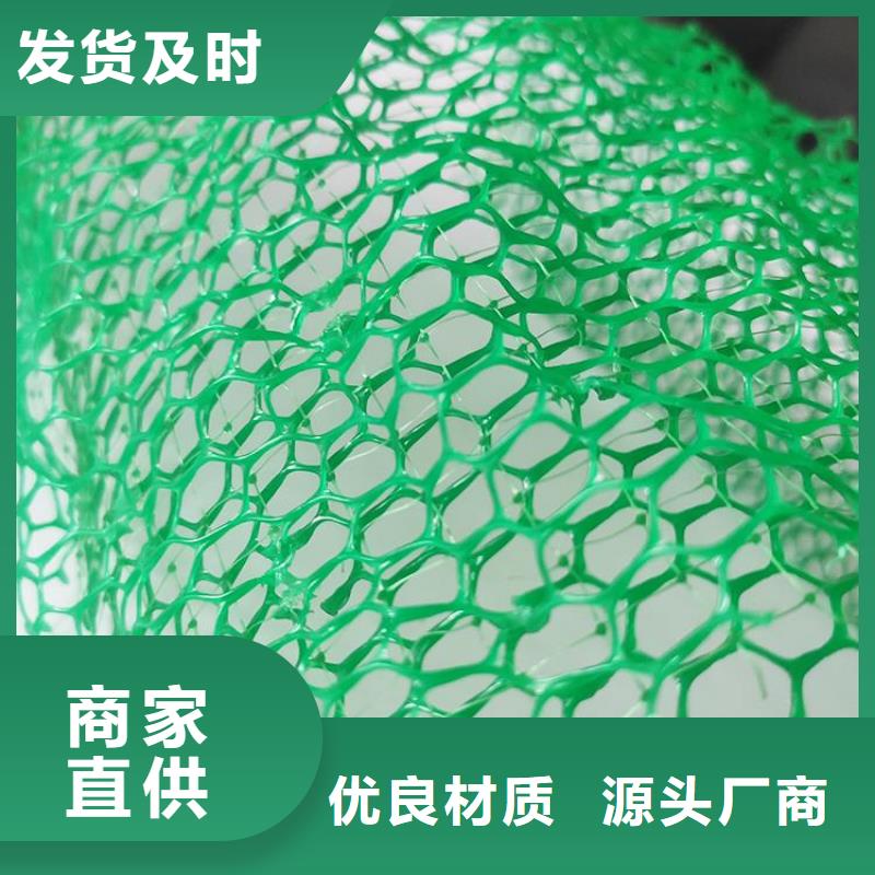 【三维植被网】双向土工格栅实力雄厚品质保障