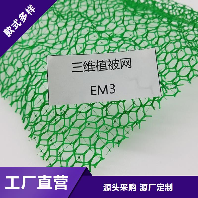 三维固土网垫-三维网植草护坡型号特点