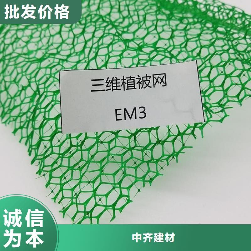 三维植被网型号特点